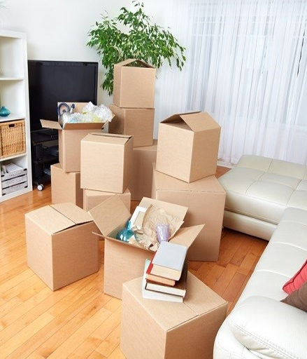Packers and Movers in Velachery