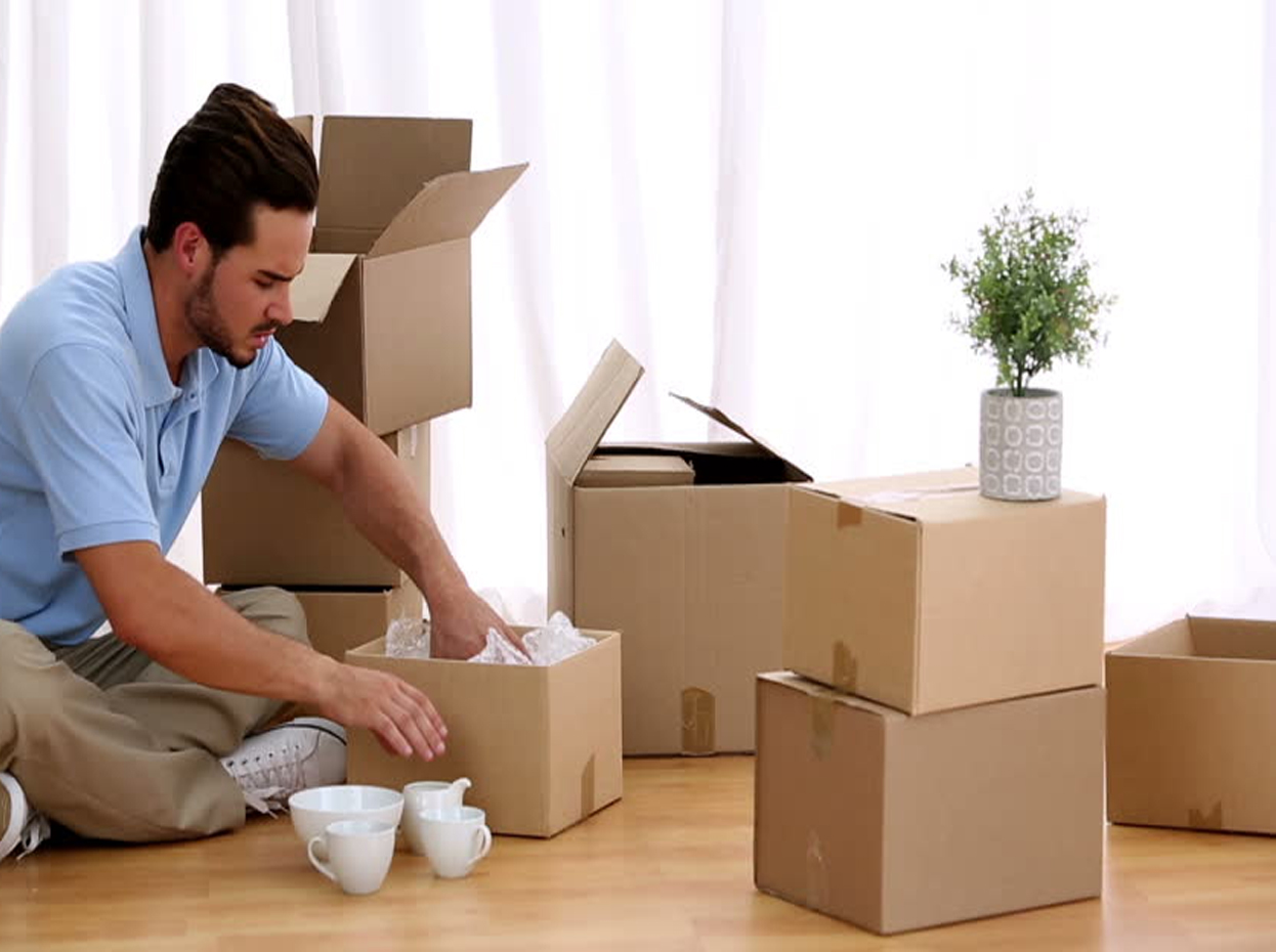 Packers and Movers in Velachery
