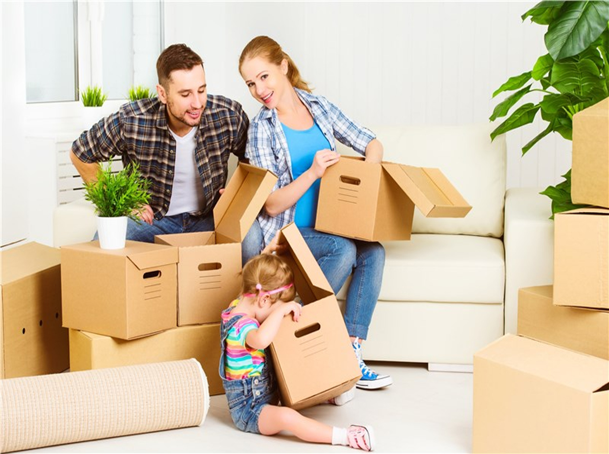 Packers and Movers in Velachery